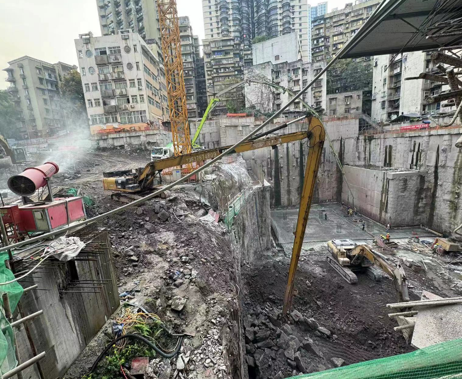 �����ھ������